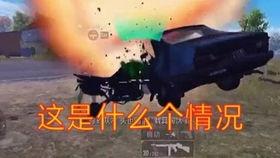 月抛精英吃瓜,揭秘娱乐圈的吃瓜盛宴