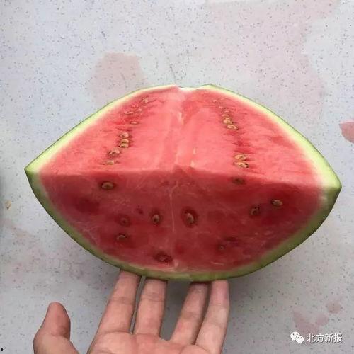 吃瓜没有籽,揭秘吃瓜不吐籽的奥秘