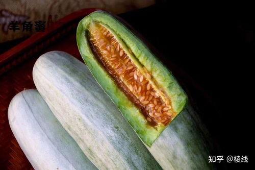 春天吃的蜜瓜,瓜熟蒂落——探寻春天甜蜜蜜瓜之旅