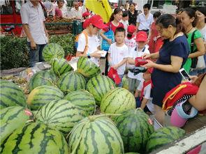 吃瓜小能手洛阳,吃瓜小能手，揭秘城市美食风云录