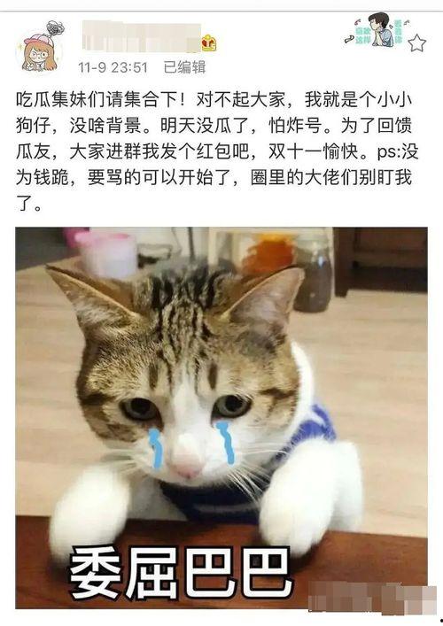 吃瓜头像群聊,吃瓜头像群聊里的欢乐时光